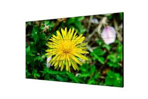  Фото видеостена 3x3 hikvision 55" ds-d2055he-g - фото 3