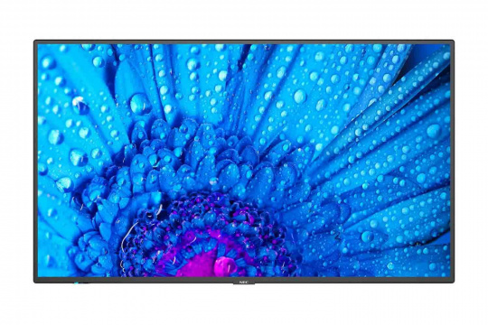 Изображение Информационный дисплей NEC 55" M551