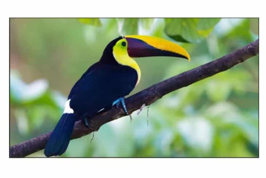 Изображение Панель для видеостены Exell 55" EXPD-WA55AB35